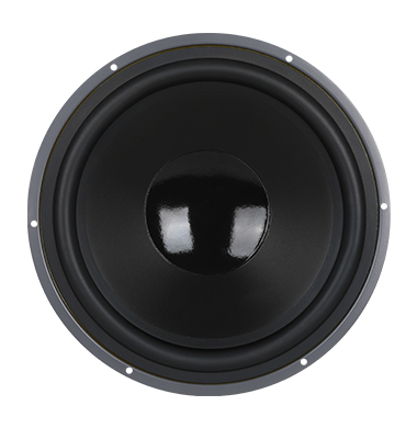 10 inch speaker