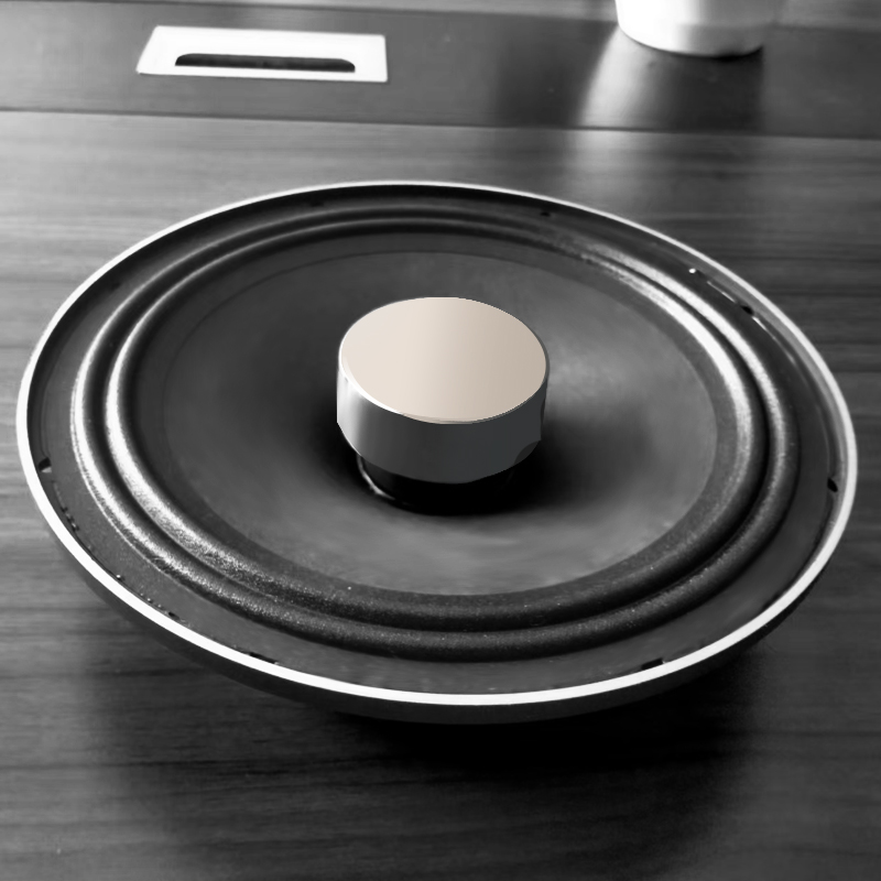 10 inch on-wall speaker
