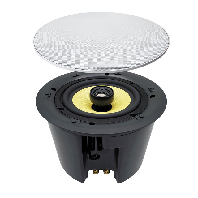 Ceiling speakers