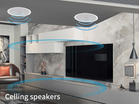 Celling speakers
